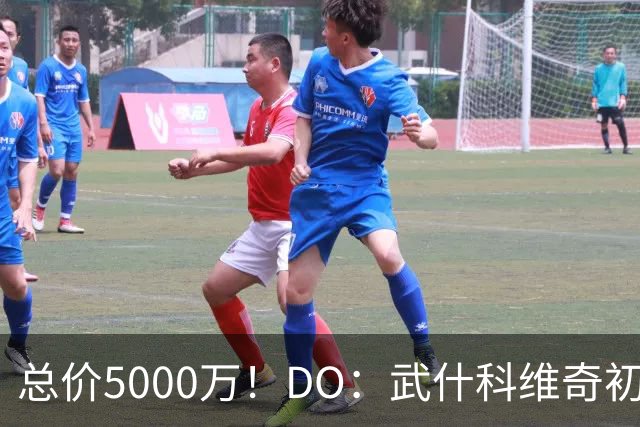 总价5000万！DO：武什科维奇初始转会费4600万镑，热刺有二转分成