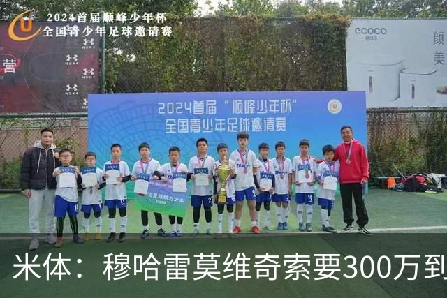 米体：穆哈雷莫维奇索要300万到400万欧税后年薪，尤文认为太高
